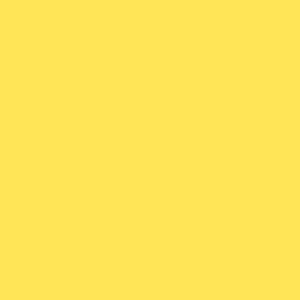 centraco fournisseur de filet de lavage collectivités coloris jaune qualité professionnelle