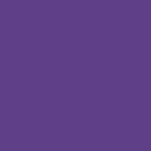 centraco fournisseur de filet de lavage collectivités coloris violetqualité professionnelle